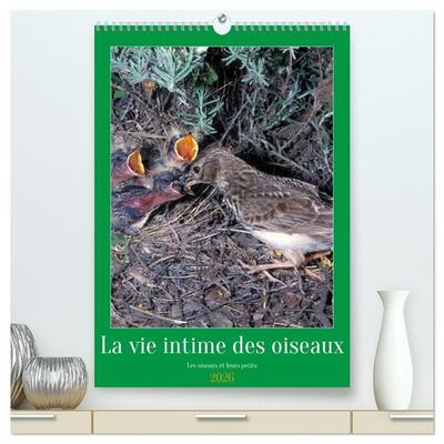 La vie intime des oiseaux Les oiseaux et leurs petits (Calendrier mural 2026 DIN A2 horizontal) calendrier de bureau