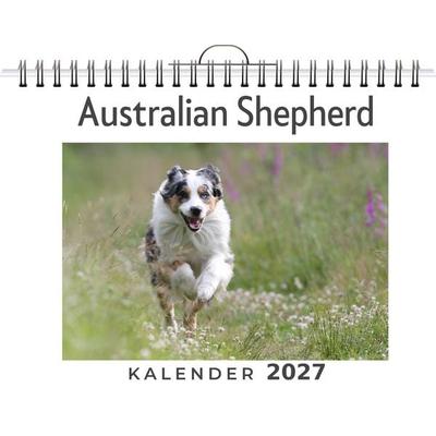 Australian Shepherd