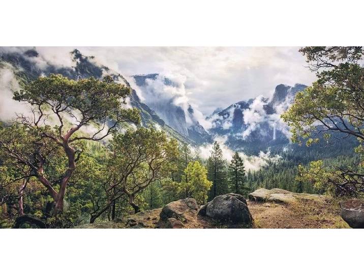Fotobehang - Unique Paradise 200x100cm - Vliesbehang