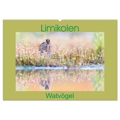Limikolen - Watvögel aus Europa (Wandkalender 2027 DIN A2 quer), CALVENDO Monatskalender