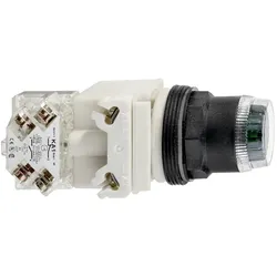 Schneider Electric Leuchtdrucktaster 9001SK1L35LGG