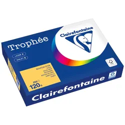 Clairefontaine Kopierpapier 1206PC A4 120g goldgelb 250 Blatt