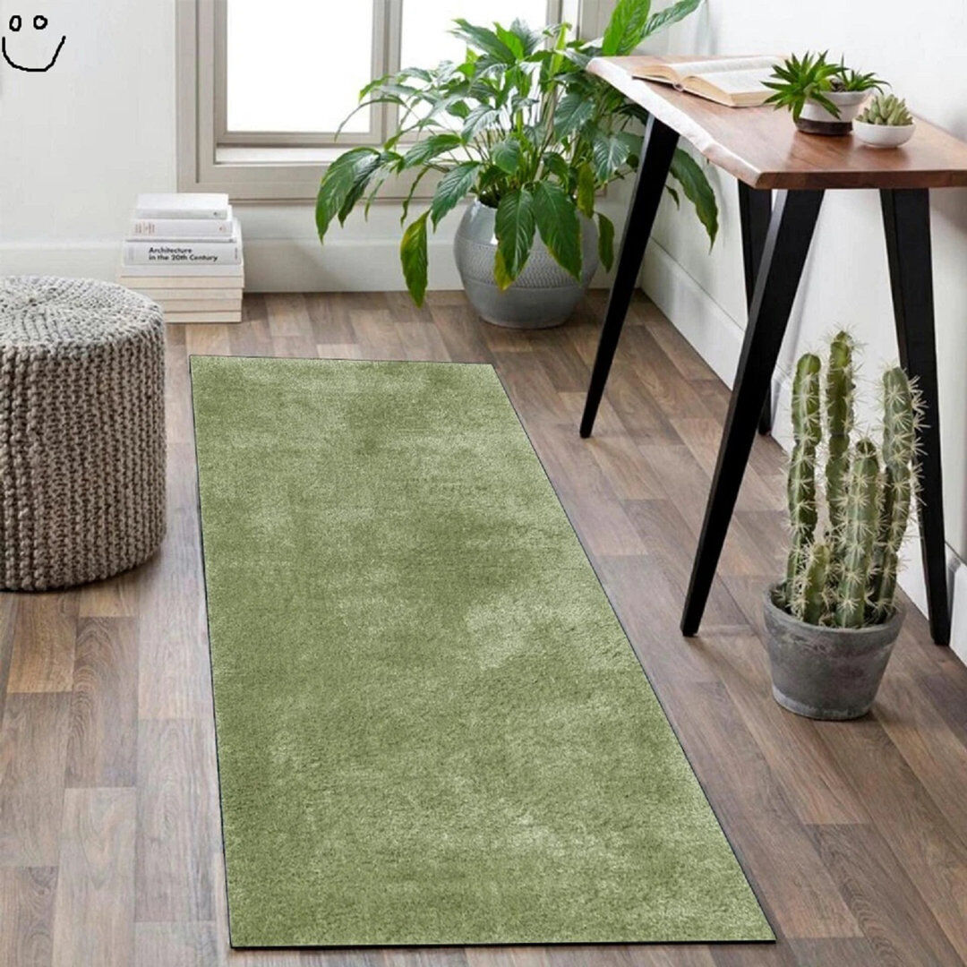 Brayden Studio Shag Green Rectangle 160 x 230cm