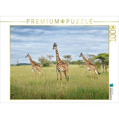 CALVENDO Puzzle Giraffen | 1000 Teile Lege-Größe 64x48cm Foto-Puzzle für glückliche Stunden