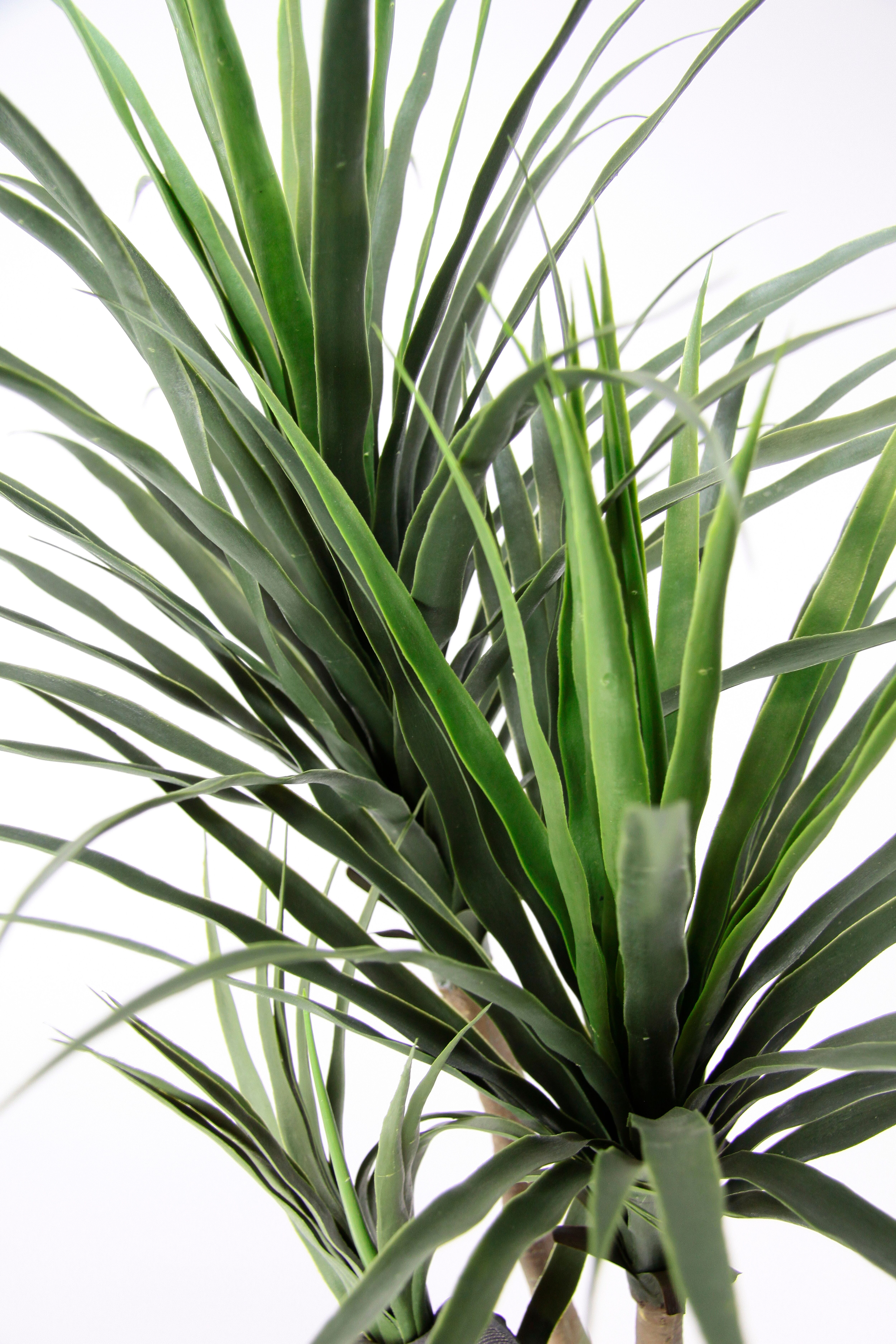 Kunstbaum I.GE.A. "Palme Dracena im Topf künstlich Pflanze Dracenapalme Zimmerpflanzen", grün, B:40cm H:120cm L:40cm, Kunststoff, Kunstpflanzen, Zimmerpalme Grünpflanzen Kunstpflanze Drachenbaum Pflanze Palme