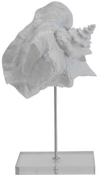 Elements White Conch Seashell Figurine, 7X12 Inch