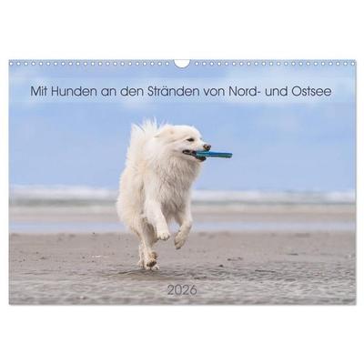 Mit Hunden an den Stränden von Nord- und Ostsee (Wandkalender 2026 DIN A3 quer), CALVENDO Monatskalender