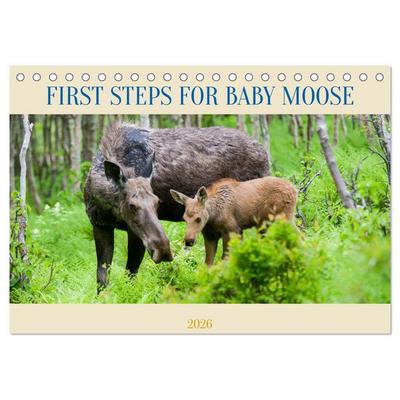FIRST STEPS FOR BABY MOOSE (Desk Calendar 2026 DIN A5 landscape), CALVENDO 12 Month DeskCalendar