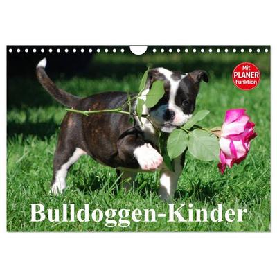 Bulldoggen-Kinder (Wandkalender 2027 DIN A4 quer), CALVENDO Monatskalender