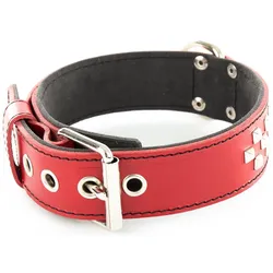 Vivog Clou (45, Hund, Spazieren), Halsband + Leine