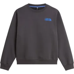 THE NORTH FACE RETRO TRAIL Sweater 2027 anthracite grey - M