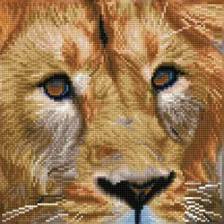 DIAMOND DOTZ - Diamond Painting - Löwe