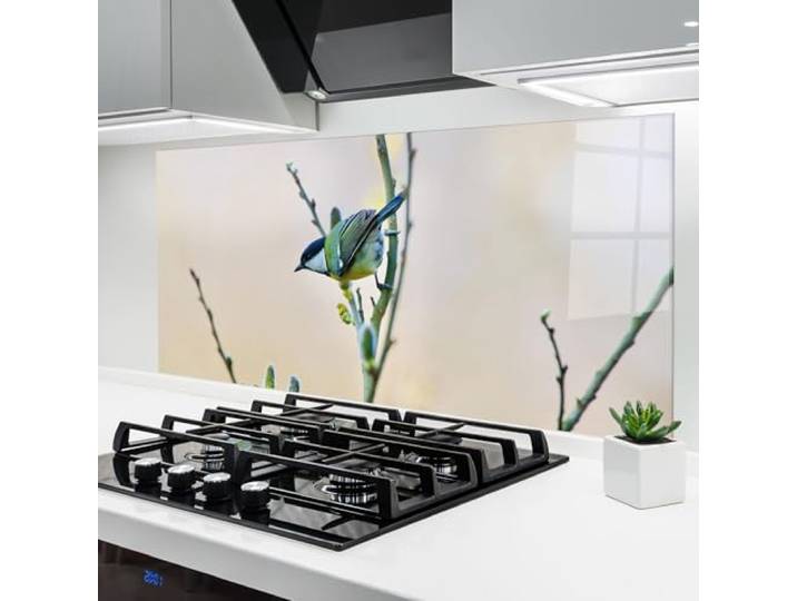 ARTHUB® Küchenrückwand aus Glas 60x120 cm, 4mm ESG Spritzschutz, Glasplatte, Herdspritzschutz, Wandschutz für Herd, Hartglas, Landschaften, Frühling, Beautiful Spring Bird