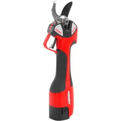 Baumpflegeset Akku 99126