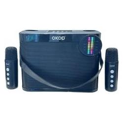 Adar Karaoke-Lautsprecher mit 2 Mikrofonen, USB-Kabel (78545390)