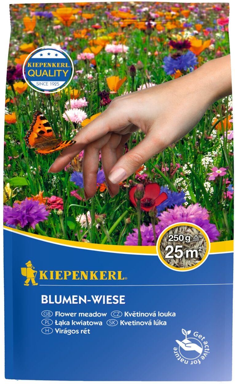 Kiepenkerl Saatgut Blumen-Wiese ca. 25 qm