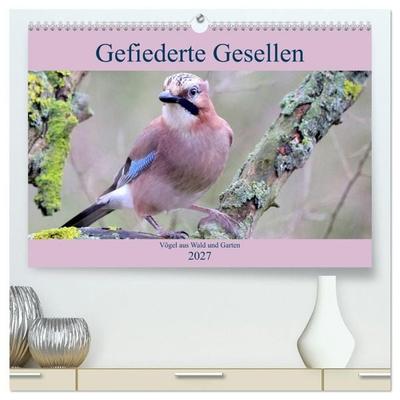 Gefiederte Gesellen - Vögel aus Wald und Garten (hochwertiger Premium Wandkalender 2027 DIN A2 quer), Kunstdruck in Hochglanz