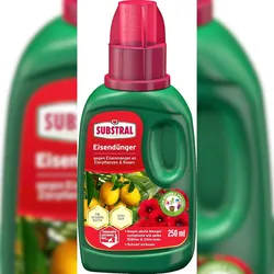 Substral Eisendünger, Flüssigdünger gegen Eisenmangel 250 ml