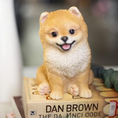 Hi-Line SoReal Brown Pomeranian