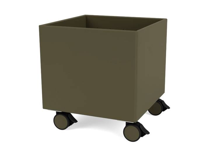 Montana Colour Box I – S6161 Oregano