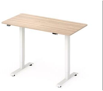 Furniture of America Carlos Modern 47-inch Metal Electric-Powered Adjustable Standing Desk