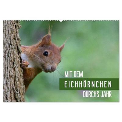Mit dem Eichhörnchen durchs Jahr (Wandkalender 2027 DIN A2 quer), CALVENDO Monatskalender