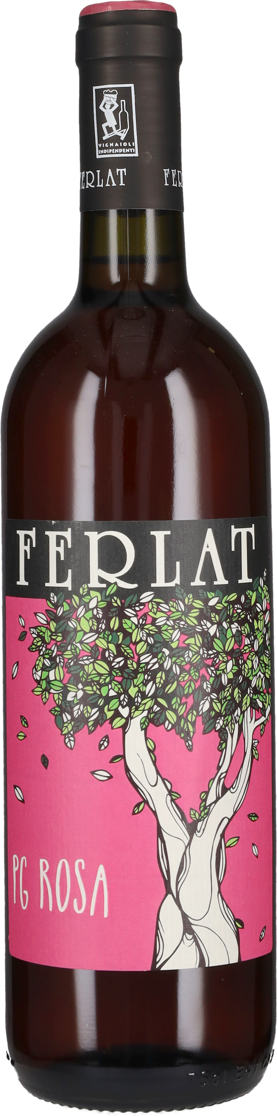 PG Rosa' Ferlat 2023