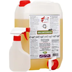 Schopf Riders Shine BRILLANT STRIEGEL 5 Liter