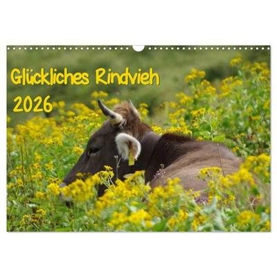 Glückliches Rindvieh 2026 (Wandkalender 2026 DIN A3 quer), CALVENDO Monatskalender