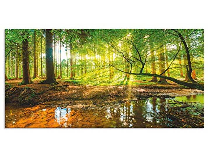 ARTland Spritzschutz Küchenrückwand aus Alu für Küche Herd Spüle 100x50 cm (BxH) mit Motiv Natur Landschaft Wald Bäume Sonne Bach Landhaus Grün T9IO
