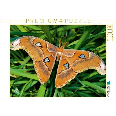 CALVENDO Puzzle Atlasfalter - Attacus atlas | 1000 Teile Lege-Größe 64 × 48 cm Foto-Puzzle für glückliche Stunden