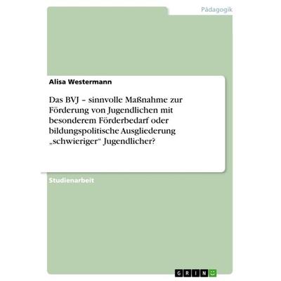 Das BVJ - sinnvolle Maßnahme zur Förderung von Jugendlichen mit besonderem Förderbedarf oder bildungspolitische Ausgliederung 'schwieriger'