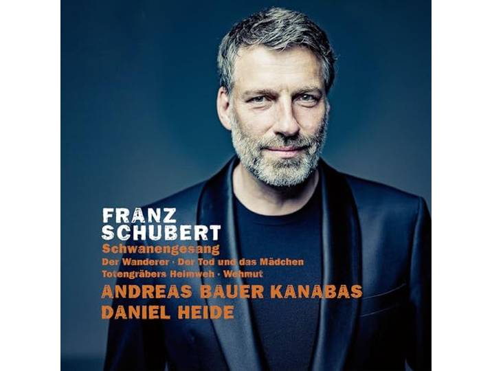 Franz Schubert, Schwanengesang