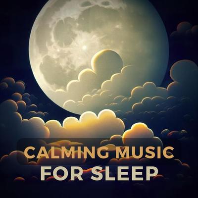 Calming Music For Sleep - NEOWAVES-Calming Music For Sleep, Audio, 4066339441415