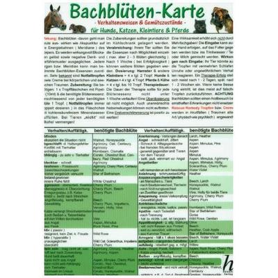 Bachblüten-Karte für Hunde, Katzen, Kleintiere und Pferde. DIN A5, Nonbook von , Hawelka, Verlag, 978-3-939081-14-2