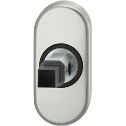 FSB, Türgriff + Türgarnitur, Adapter-Rosette oval Rahmentür, 9 mm, EN179, Aluminium silber