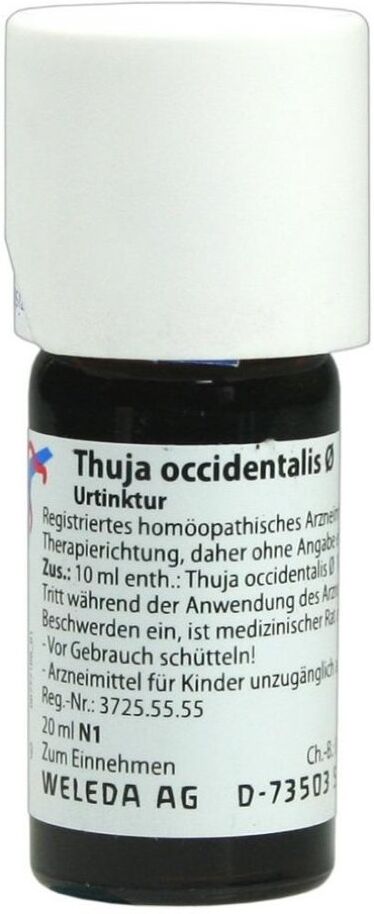 Thuja Occidentalis Urtinktur