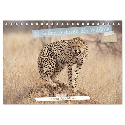 12 Schritte durch die Wildnis, Kruger Park Edition (Tischkalender 2026 DIN A5 quer), CALVENDO Monatskalender