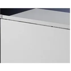 Rittal SZ Rack Staubschutzrand, Serverschrank Zubehör, Grau