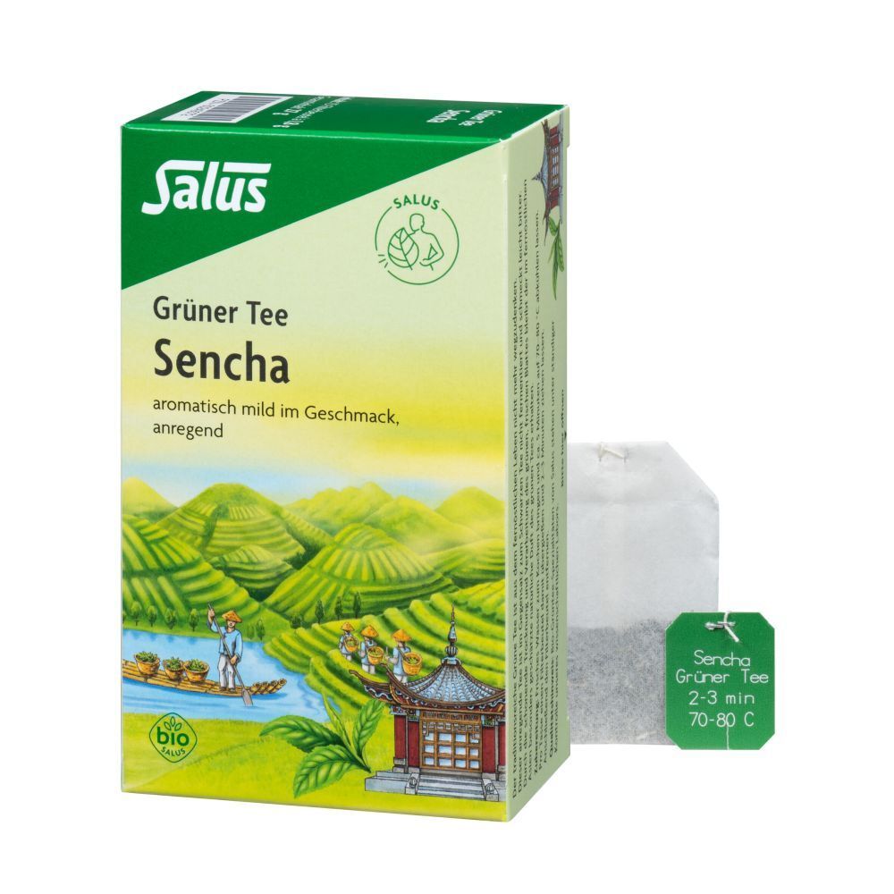 Grüner TEE Bio Salus Filterbeutel 15 St