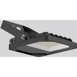 RZB LED-Strahler BSX110210.03