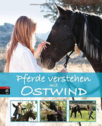 Almut Schmidt - Pferde verstehen mit Ostwind - Preis vom 30.09.2026 22:30:23 h