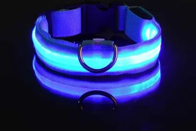 Fusion Finds LED Dog Collar For Night Safety Rechargeable Light Up Dog Collar With Flashing Glow For Small, Medium & Large Dogs blue l