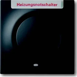 Busch-Jaeger Zentralplatte Schalter schwarz impuls 1789 H-775-101 matt BSF