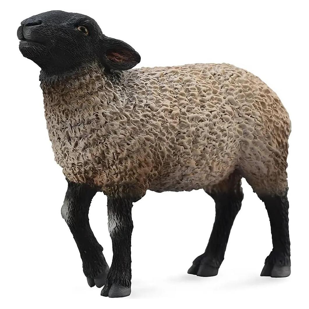 Collecta Australisches Suffolk Schaf (M) (88636)