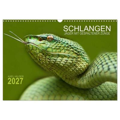 SCHLANGEN. JÄGER MIT GESPALTENER ZUNGE (Wandkalender 2027 DIN A3 quer), CALVENDO Monatskalender