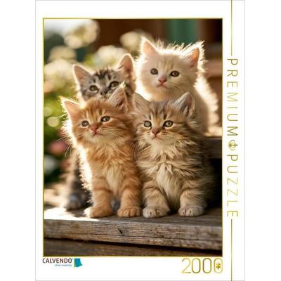 CALVENDO Puzzle Lertzte wärmende Sonnenstrahlen | 2000 Teile Lege-Größe 90 × 67 cm Foto-Puzzle für glückliche Stunden, von , Calvendo Puzzle