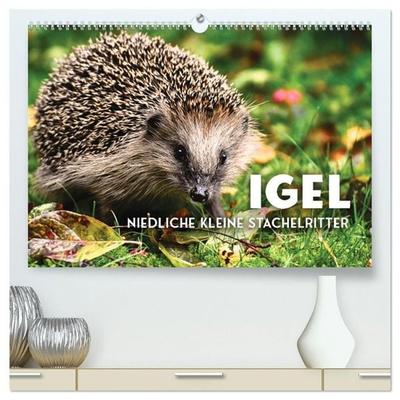 Igel - Niedliche kleine Stachelritter (hochwertiger Premium Wandkalender 2027 DIN A2 quer), Kunstdruck in Hochglanz