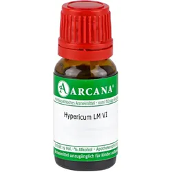 Hypericum Lm 6