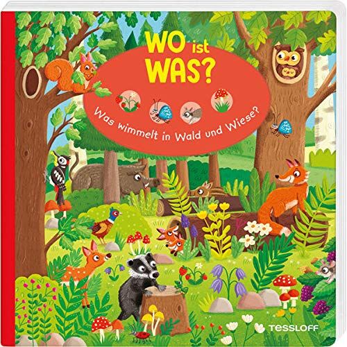 Julia Reindl - WO ist WAS? Was wimmelt in Wald und Wiese?: Pappebuch für Kinder ab 18 Monaten (Bilderbuch ab 18 Monate) - Preis vom 17.10.2026 19:25:27 h